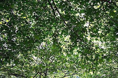 《WEBFISHING》登陆Steam 休闲钓鱼